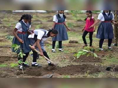 সবুজায়নে আরও গুরুত্ব, ২৭ রাজ্যে গাছ লাগাতে ৪৭,৪৩৬ কোটি অনুদান কেন্দ্রের!