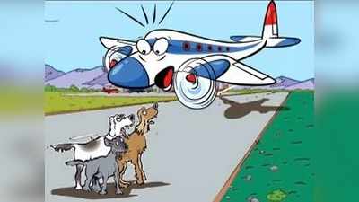 गोवा एयरपोर्ट: रनवे पर आया कुत्‍ता, ऐन मौके पर रोकनी पड़ी फ्लाइट