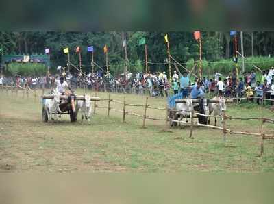 ರೋಮಾಂಚನಗೊಳಿಸಿದ ಎತ್ತಿನಗಾಡಿ ಓಟ