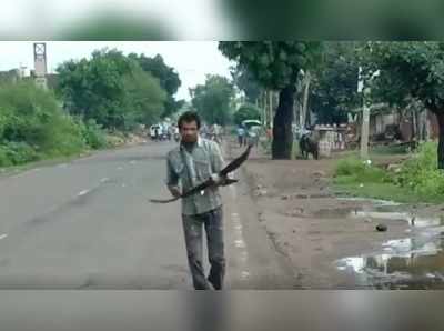 மூன்று வருடங்களாக பழி வாங்கும் காக்கைக் கூட்டம்.. தப்பிக்க முடியாத நிலைமை