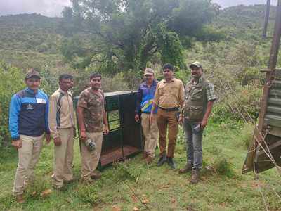 ಬಂಡೀಪುರ: ಹುಲಿ ಸೆರೆಗೆ ಸಿದ್ಧತೆ