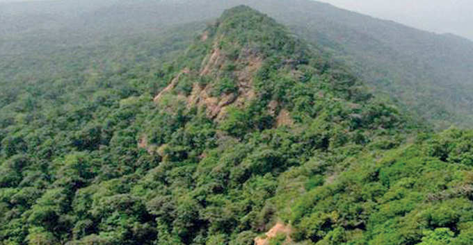 ಮಾರಿಹಾಳ ಕಾಣೆಯಾಗಿದ್ದ ಕೈಗಾ ಅರಣ್ಯ ಪ್ರದೇಶ