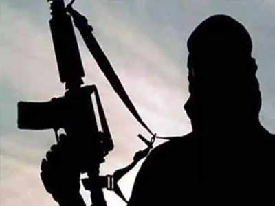 काश्मीरमध्ये दोन दहशतवादी पकडले; लष्कराची कारवाई