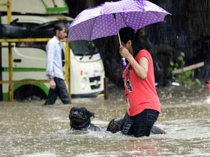 परेशान बेजुबान