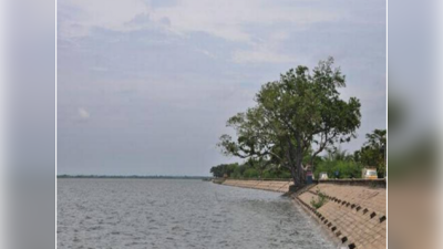 முழு கொள்ளளவை எட்டும் வீராணம் ஏரி- சென்னைக்கு கூடுதல் தண்ணீர் திறப்பு!