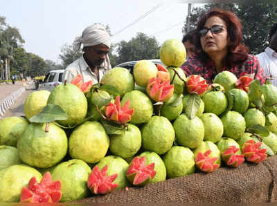 ಒತ್ತಡ ನಿವಾರಣೆಗೆ ಪೇರಳೆ ಹಣ್ಣಿನ ಜ್ಯೂಸ್‌