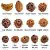 points-to-remember-while-wearing-a-rudraksha