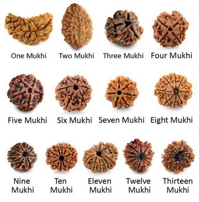points-to-remember-while-wearing-a-rudraksha