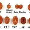 points-to-remember-while-wearing-a-rudraksha (1)