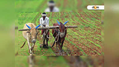 ৫ হাজার বছর আগে থেকেই কৃষি কাজে দক্ষ ছিলেন ভারতীয়রা!