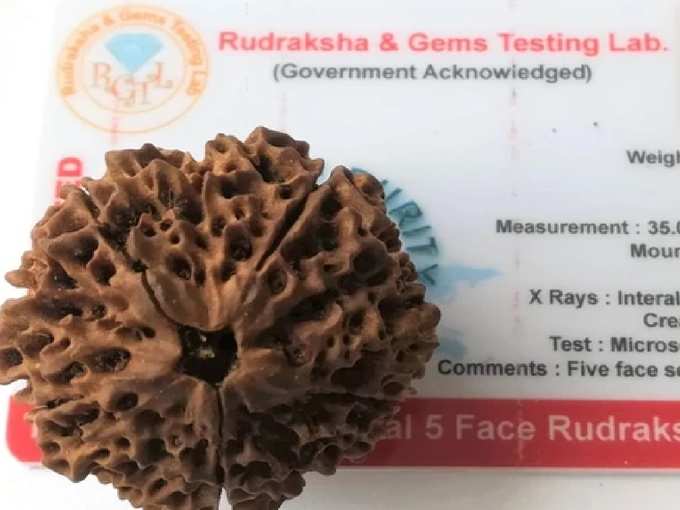 rudraksha test 4
