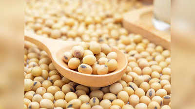 Soya में है गुणों की भरमार, कई तरह से सेहत को पहुंचाता है फायदा