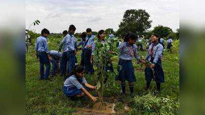 अमेरिका में प्रति व्यक्ति 699 पेड़, लेकिन भारत में सिर्फ 22, देखें ग्लोबल रैंकिंग
