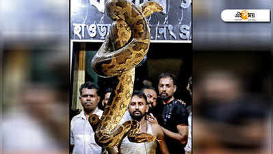 রাতভর লড়াই শেষে হাওড়া শহরে উদ্ধার ১০ ফুটের অজগর