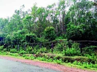 ಇನ್ನೂ ನನಸಾಗದ ಬಡವರ ಸೂರಿನ ಕನಸು