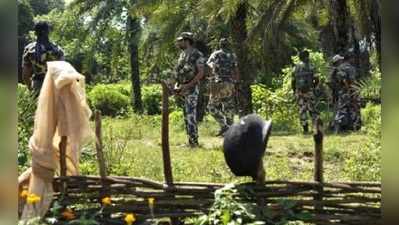 ছত্তীসগঢ়ে উদ্ধার ২০ কেজি বিস্ফোরক, লুকিয়ে রেখেছিল মাওবাদীরা