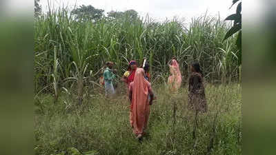 बहराइच: तेंदुए के आतंक से ग्रामीण परेशान, वन विभाग के खिलाफ जताई नाराजगी
