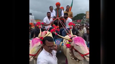 विडियो: जब बैलगाड़ी से चुनाव प्रचार को निकले महाराष्‍ट्र के सीएम देवेंद्र फडणवीस