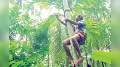 ಅಡಿಕೆ ಬೆಳೆಗಾರರನ್ನು ಕಾಡಿದ ಮಹಾಳಿರೋಗ