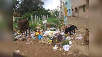 ದಂಡದ ಅಸ್ತ್ರಕ್ಕೂ ಜಗ್ಗದ ಜನತೆ, ಕಸಕ್ಕಿಲ್ಲಮುಕ್ತಿ