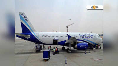 #ShameOnIndiGo! ইস্তানবুল পৌঁছে দেখা গেল বিমানের গোটা লাগেজ পড়ে আছে দিল্লিতে