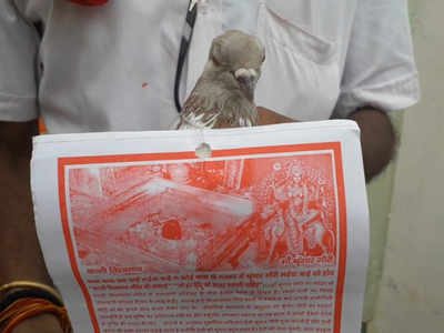 पीएम का जन्मदिन: PM ने उड़ाई तितली तो काशी में शिवसेना ने मंदिर मुक्ति के लिए उड़ाए कबूतर
