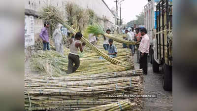 हाई कोर्ट का आदेश- 15 दिन में ब्याज समेत करें गन्ना किसानों के बकाये का भुगतान