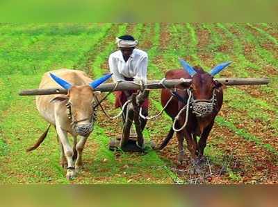 ఏపీ: రైతు భరోసా విధి విధానాలు.. అర్హులు వీరే