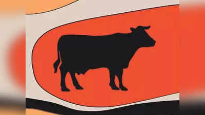 यूपी: गोशाला में मरी गाय, एडीओ ने सफाईकर्मी को खाकर निपटाने की दी सलाह, सस्पेंड