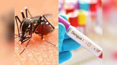 बहुत सी वैक्सीन के प्रति रेजिस्टेंट हो गया है Dengue का वायरस