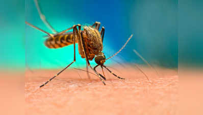 औरंगाबाद में 48 घंटों में 3 की मौत, वजह डेंगू तो नहीं!