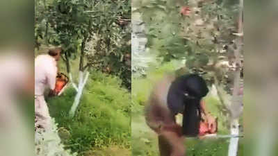 जम्मू-कश्मीर में सेना काट रही है सेब के पेड़? जानिए पूरा सच