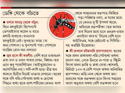 দেরিতে সক্রিয় বর্ষা, পুজোর মুখেও ত্রাস ডেঙ্গি