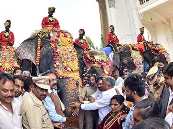 ಗಜಪಡೆ ಸ್ವಾಗತಿಸಿದ ಸಚಿವ ಸೋಮಣ್ಣ