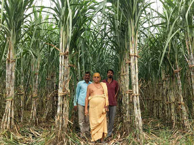 अयोध्या: भगवान की आराधना के साथ वैज्ञानिक विधि से खेती करते हैं महंत अवधेश दास