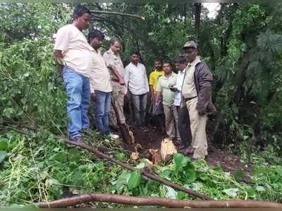 ಶ್ರೀಗಂಧದ ಮರ ಕಡಿದು ಸಾಗಿಸುತ್ತಿದ್ದ ನಾಲ್ವರ ಬಂಧನ