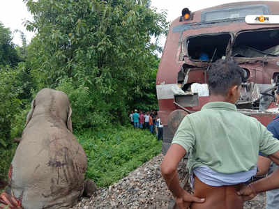 ডুয়ার্সে ট্রেনের ধাক্কায় আহত হাতি, বিকল ইঞ্জিন