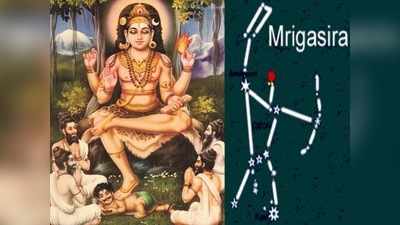 Mrigasirisa Nakshatra: மிருகசீரிடம் நட்சத்திரத்திற்கு குரு பெயர்ச்சி பலன்கள் எப்படி இருக்கும்?