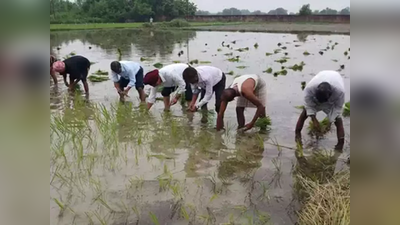 बिना अनुमति बेचे करोड़ों के पौधे, होगी एफआईआर