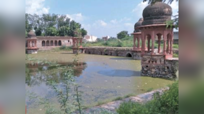 नूंह विधानसभा सीट: बीजेपी कभी नहीं खोल पाई है खाता​