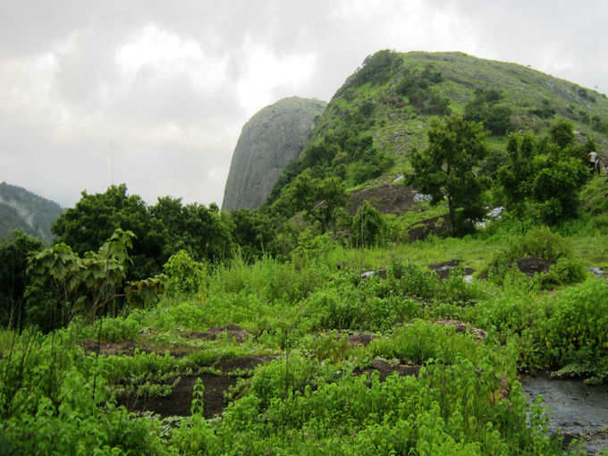 Dhoni_Hills_-_panoramio_(1)