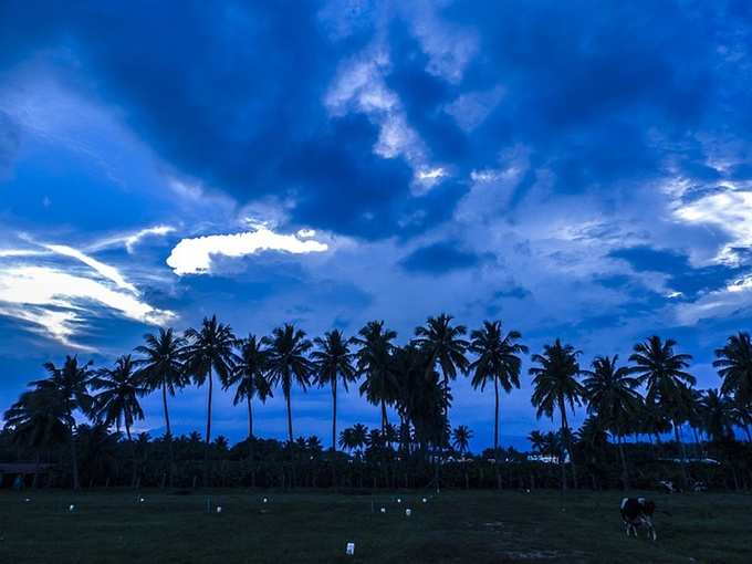 கோயம்புத்தூர்