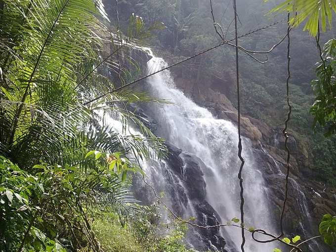 மீன்முட்டி நீர்வீழ்ச்சி