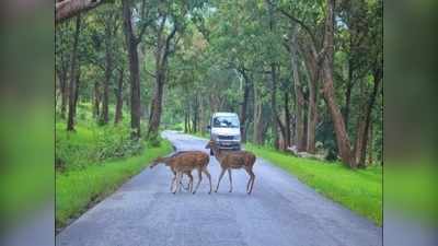 ಬಂಡೀಪುರ ರಾತ್ರಿ ಸಂಚಾರಕ್ಕೆ ಅವಕಾಶ ನೀಡಲ್ಲ: ಯಡಿಯೂರಪ್ಪ ಸ್ಪಷ್ಟನೆ