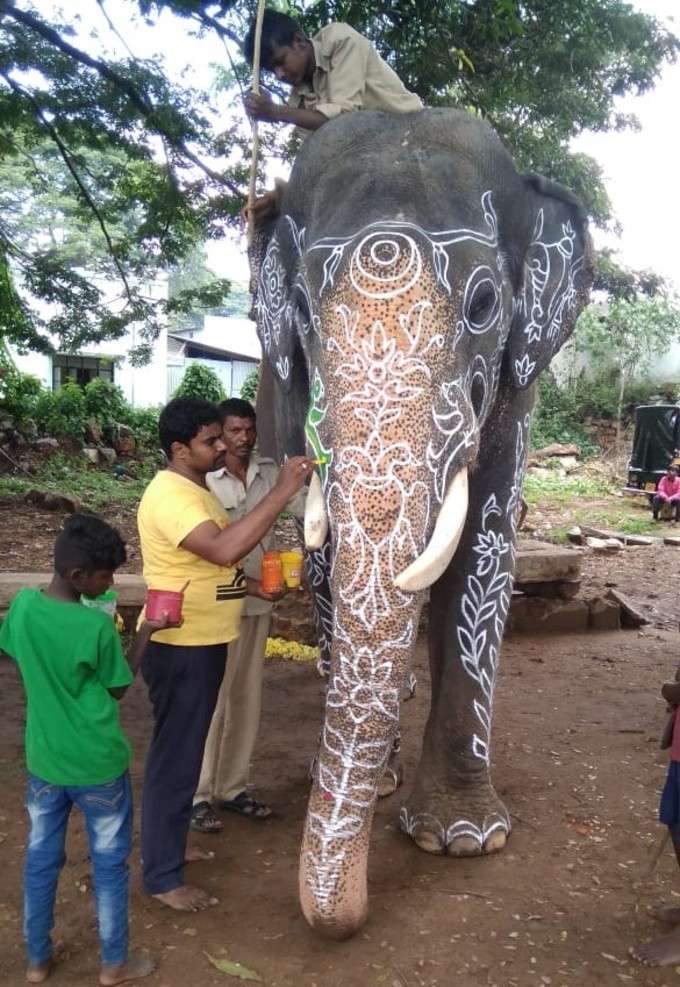 2017ರಿಂದ ಮತ್ತೆ ಶ್ರೀರಂಗಪಟ್ಟಣ ದಸರಾ ಉತ್ಸವ ಆರಂಭ