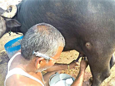 आरोग्याशी खेळ