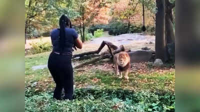 Bronx zoo : சிங்கப்பெண்ணே...! சிங்கத்திடம்ஐ லவ் யூ சொல்லி டான்ஸ் ஆடிய பெண் - வைரலாகும் வீடியோ