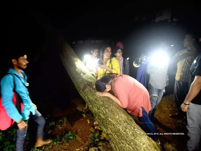 आरे पर आरी: मुंबई पुलिस के लिए गले की फांस बना अमेजन के जंगलों पर किया ट्वीट