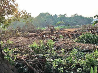 आरेः ऐक्टिविस्ट्स का आरोप- जानबूझकर ज्यादा पेड़ों की कटाई का आंकड़ा दे रहा प्रशासन
