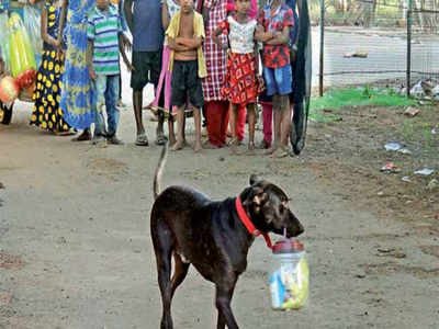 Thisayanvilai : தன் எஜமானர் வீட்டிற்கு மளிகை சாமான் வாங்கி வரும் நாய்...! ஊர் மக்கள் ஆச்சரியம்